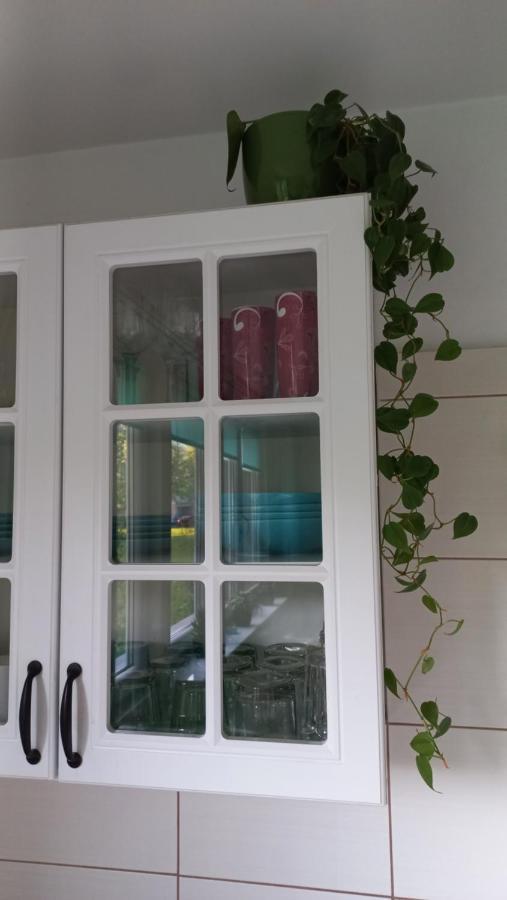 Global Trip Apartament Stadion Zimowy Tychy Eksteriør billede